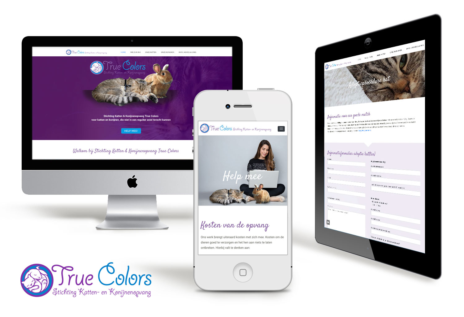 Webdesign-stichting-treucolors-grimmstudio